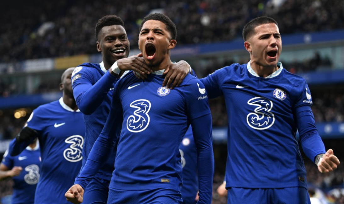 赛前被看衰！巨汉鲍勃萨普蛮力KO“完美先生”，成搏击界传奇