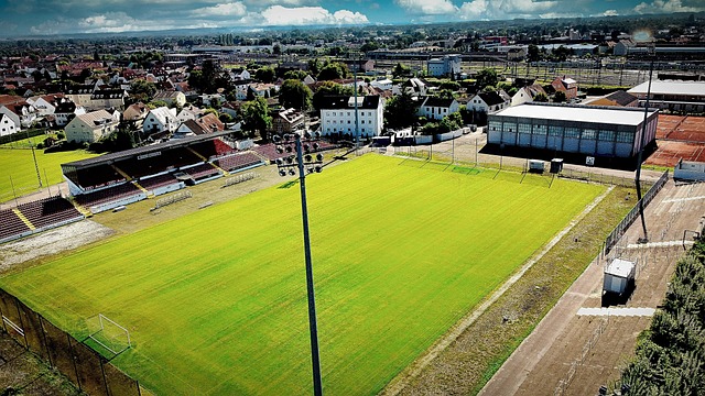 很大程度上 很大程度上