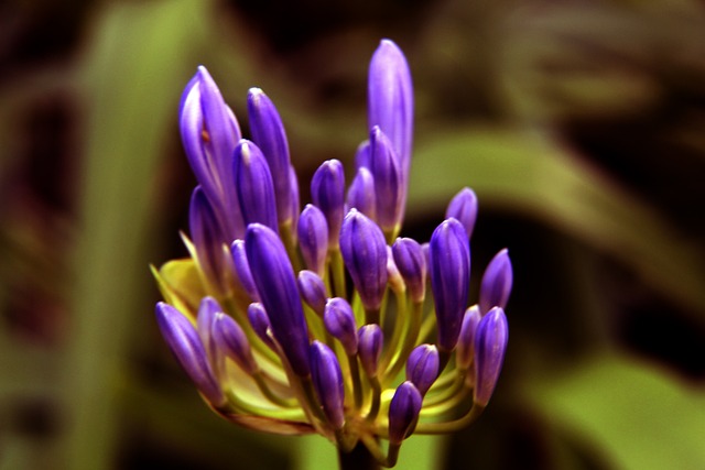 双方依然能 双方依然能