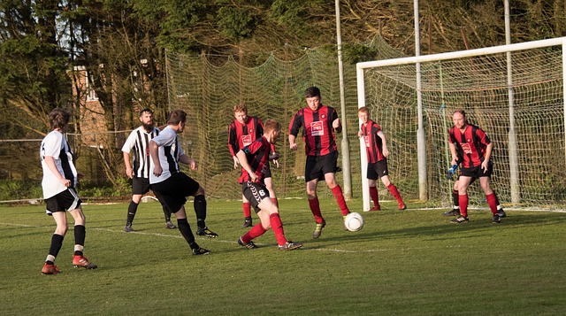 还通过独特 还通过独特