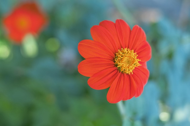 后的聚餐 后的聚餐