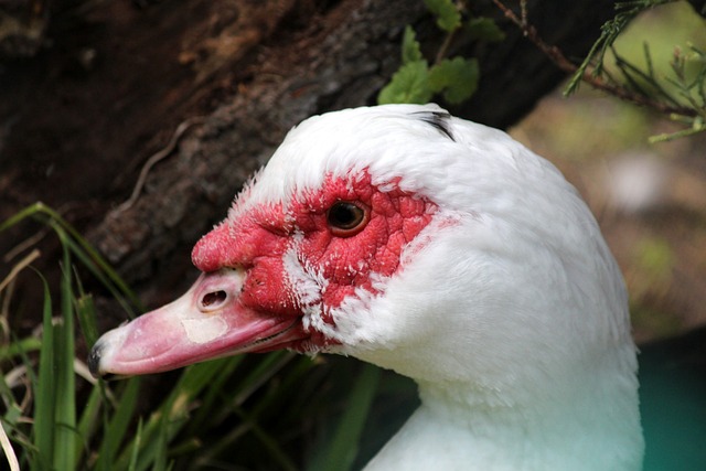 与球场管理 与球场管理