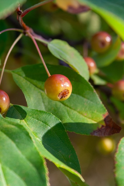 应对每一场 应对每一场