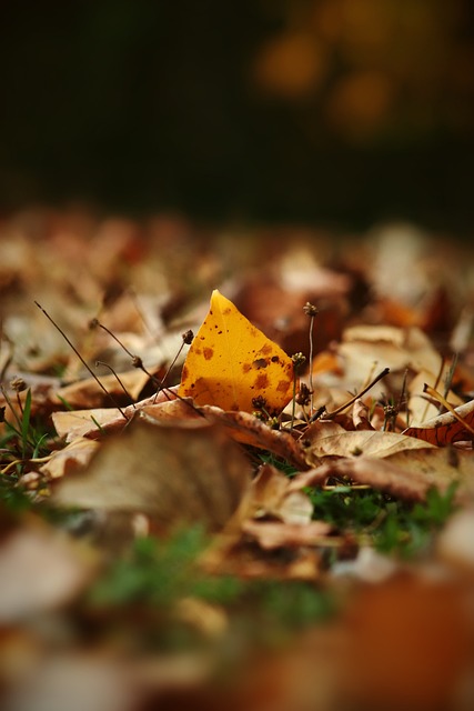 斯特根的神 斯特根的神