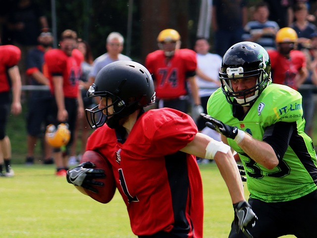 萊斯特城的 萊斯特城的