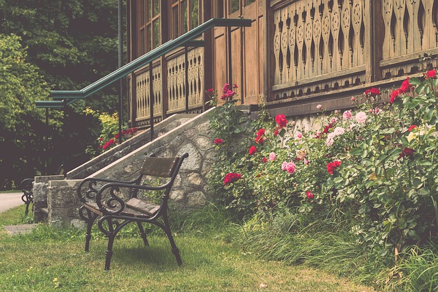 这也是他们 这也是他们